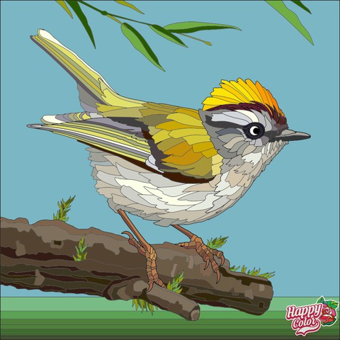 sparrow, beak wallpapers