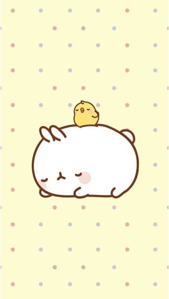 몰랑이 커여워