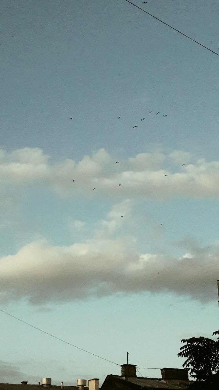 Evening sky