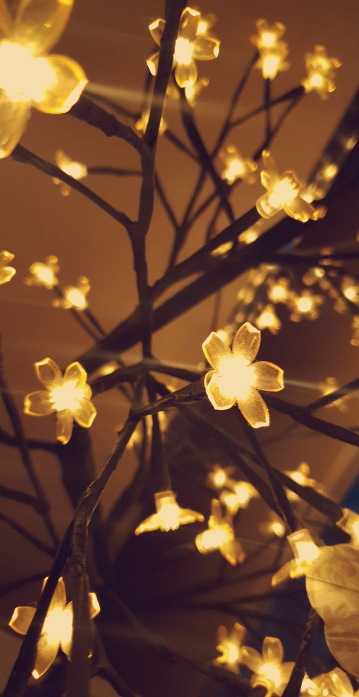 lights