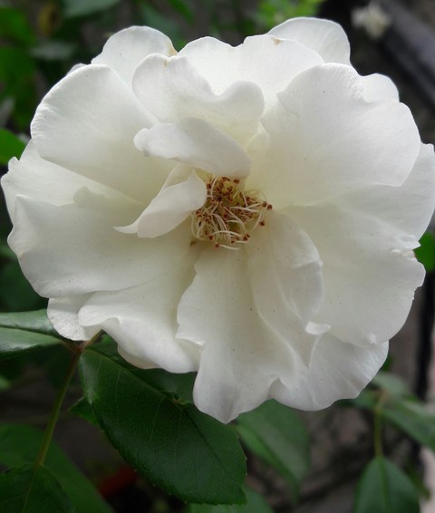 Nice!! ?