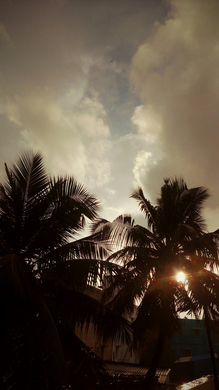 nature