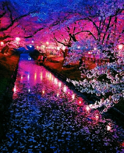 Cherry Tree River