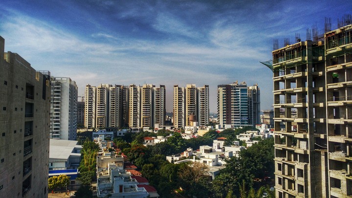 concrete jungle