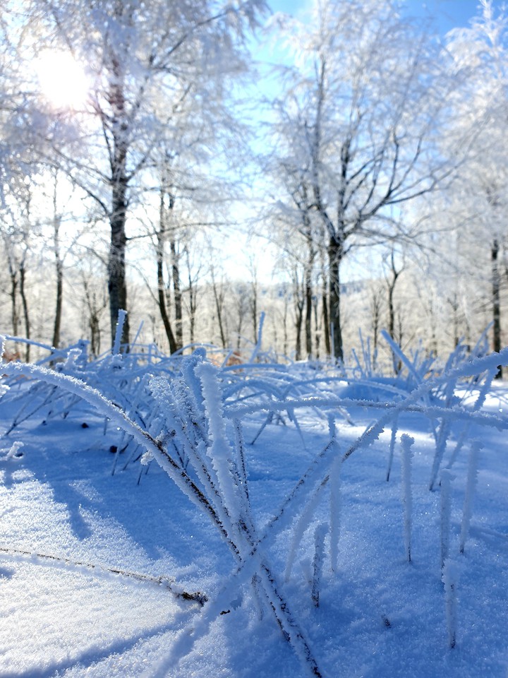 snow
