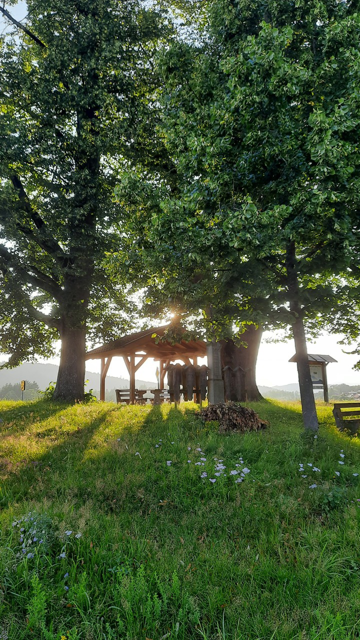 Landschaft