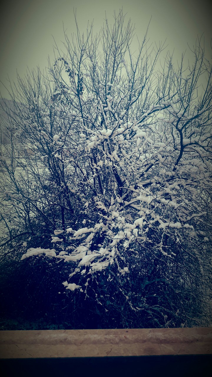 ice snow