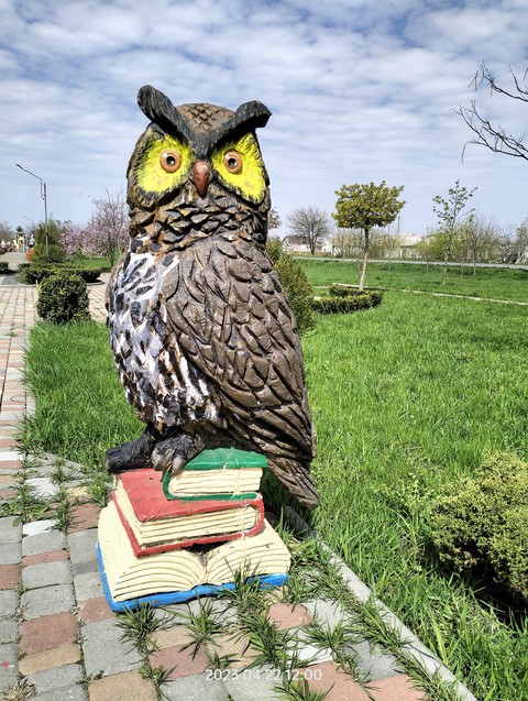 sfondi plant, beak