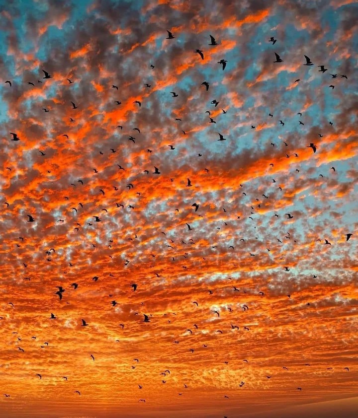clouds