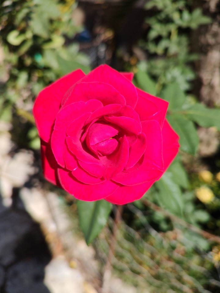 .