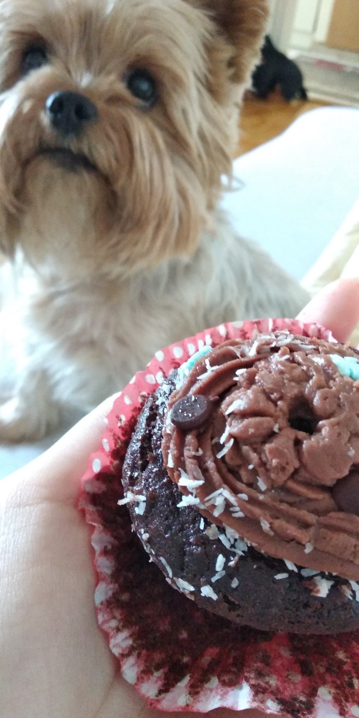 Gift from a friend and my dog want to eat it.