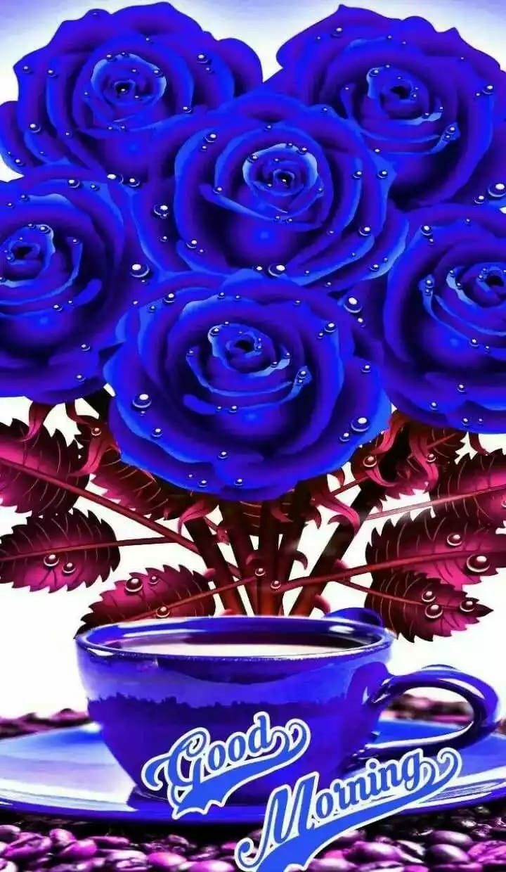 Good morning, Blue Rose