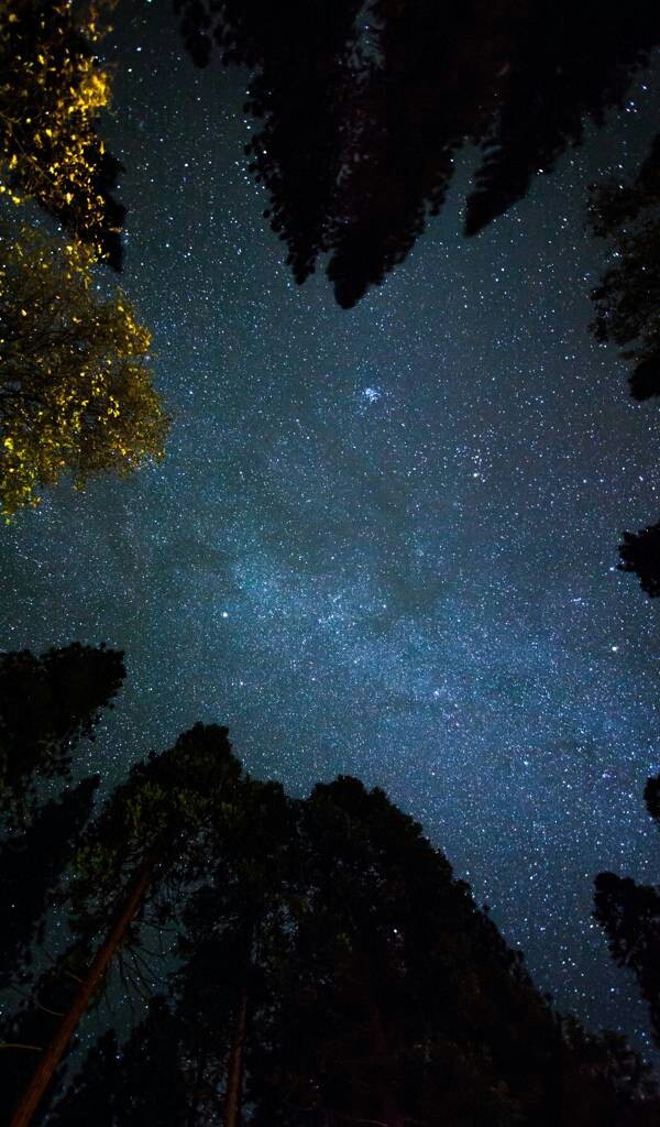 stars