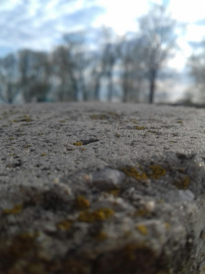 Stone