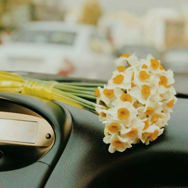 narges:)