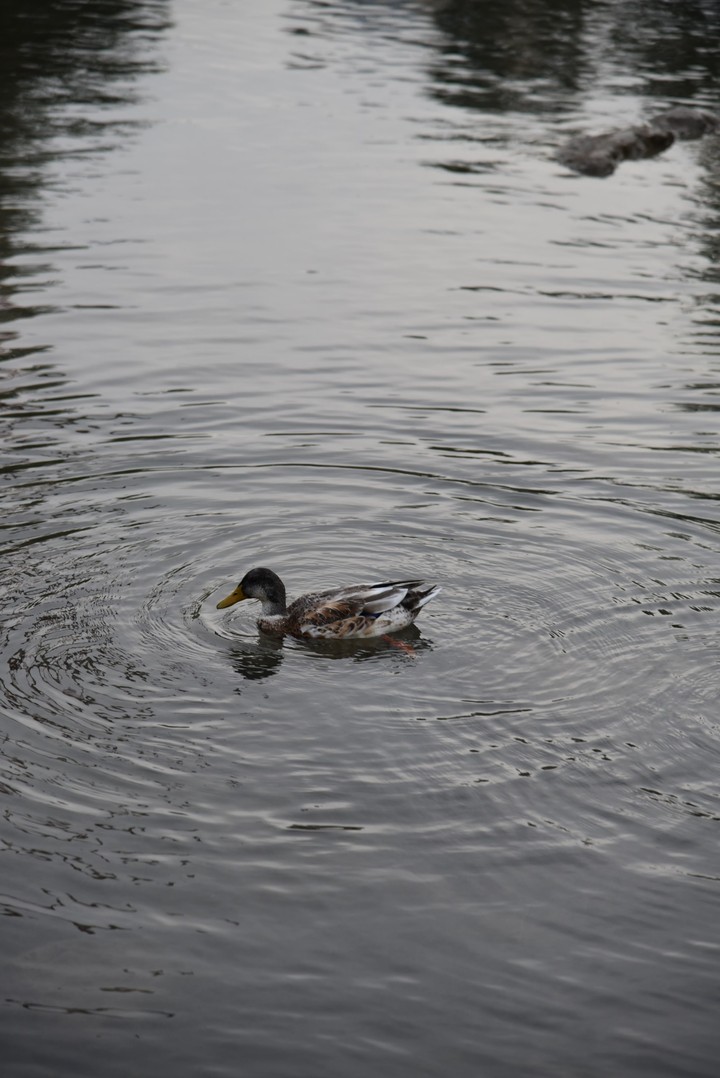 Calm and unruffled