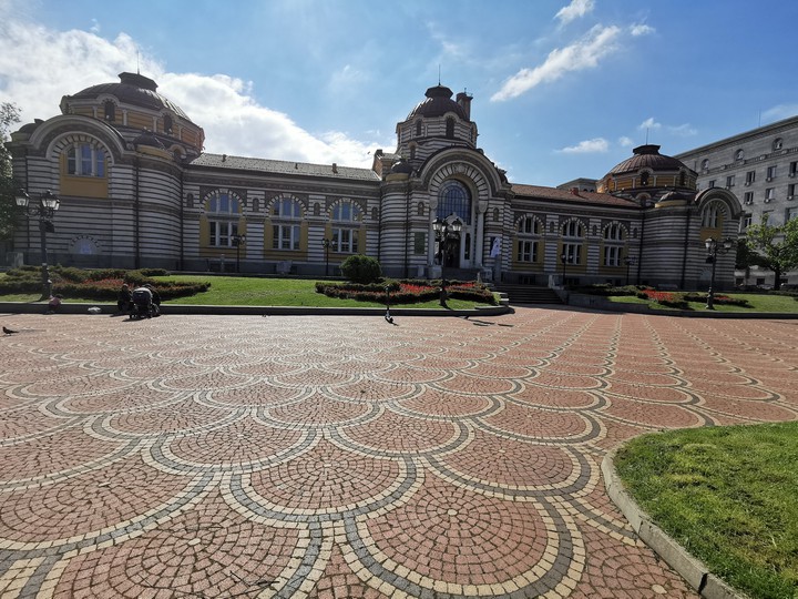 sofia