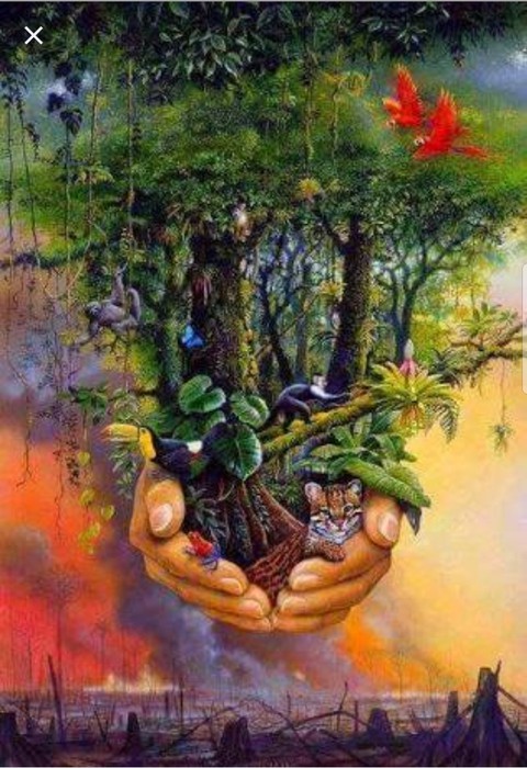 forest