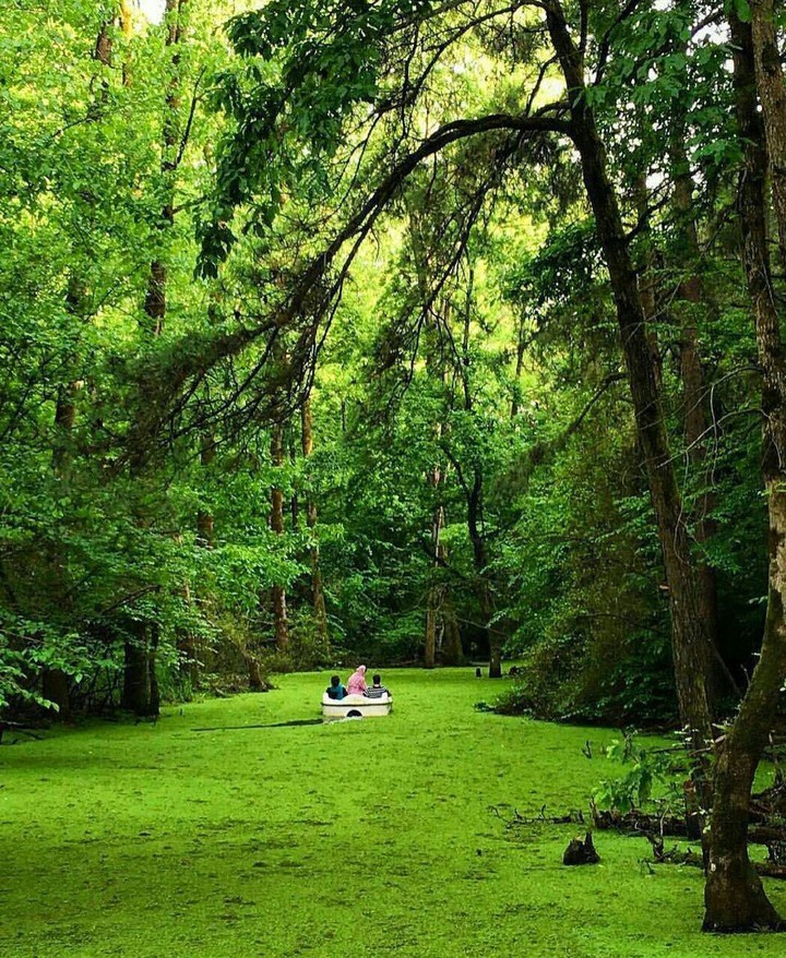iran_gilan