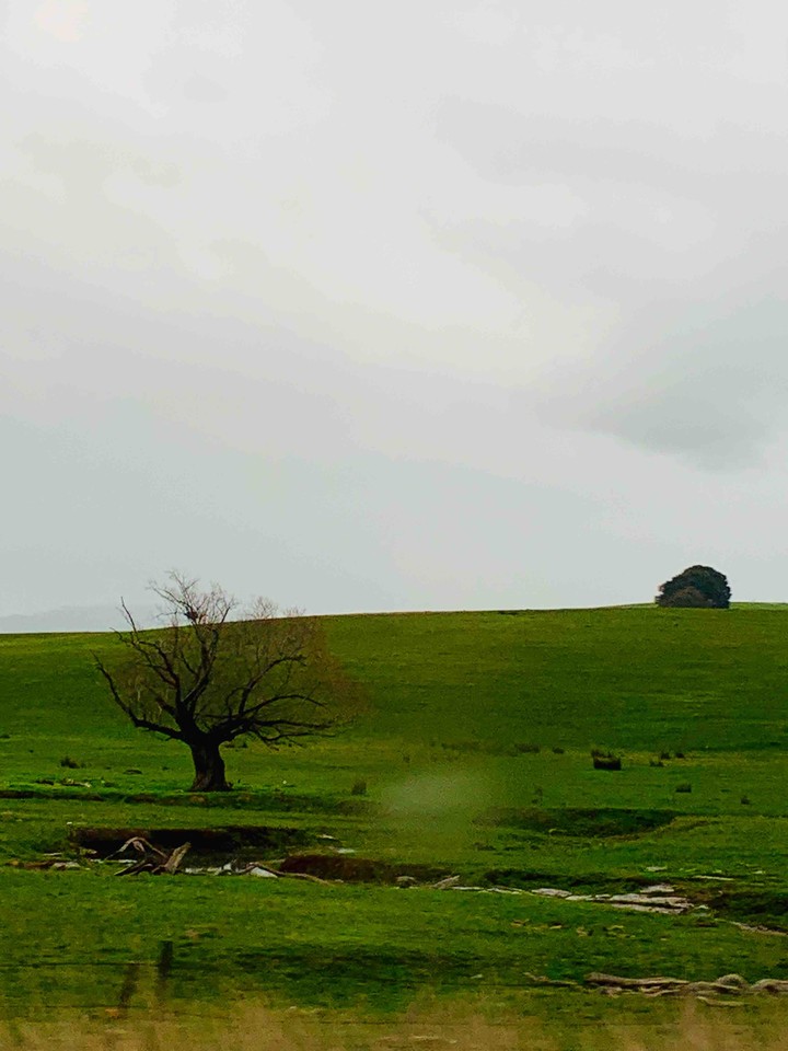 Landscape view