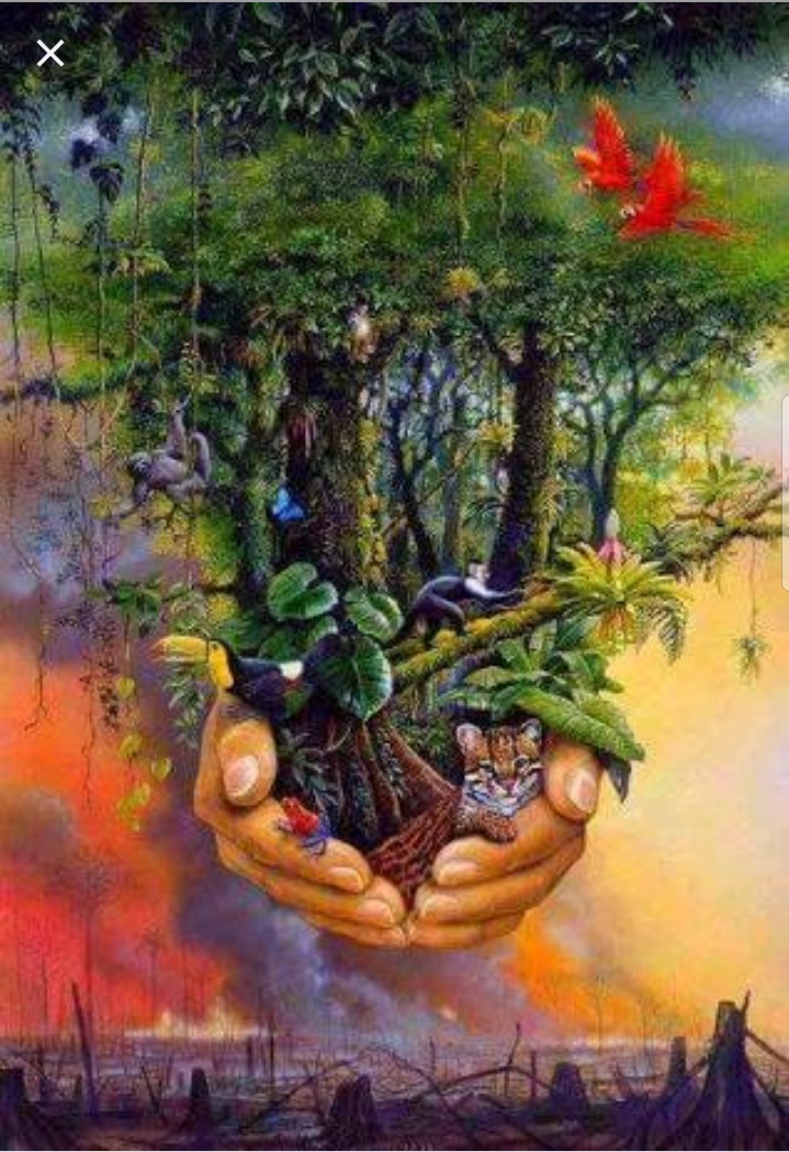 forest