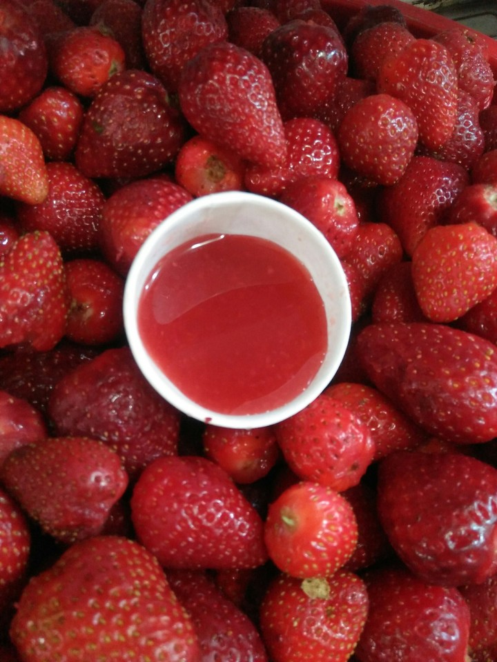 fruit