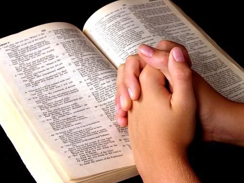 santa biblia