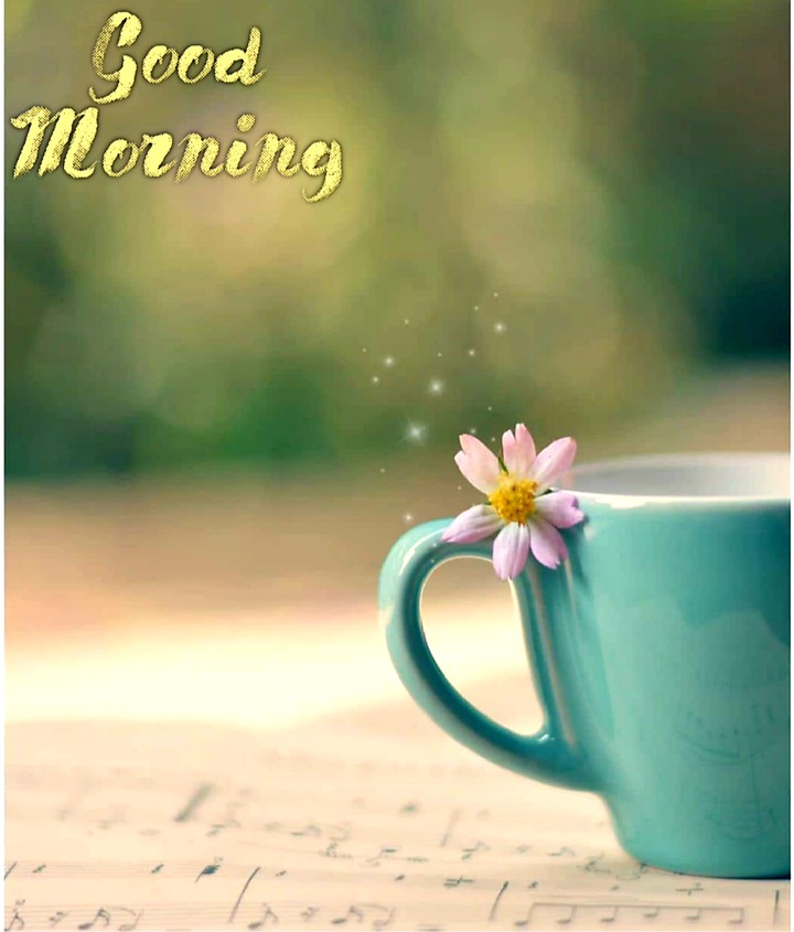 Good Morning