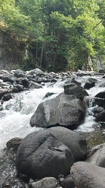 River of borjomi