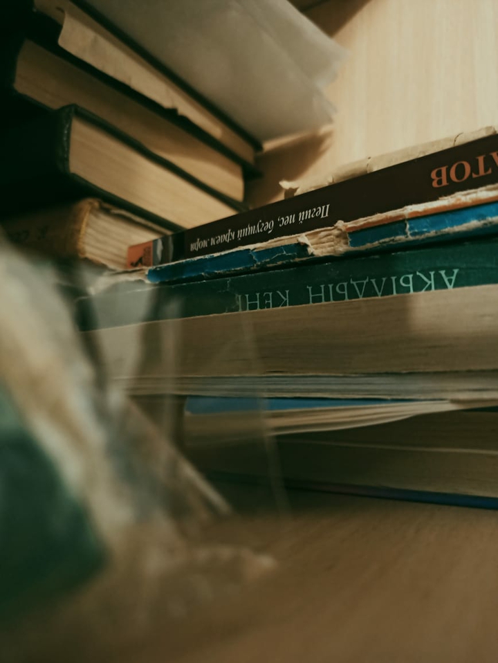 a kazakh books
