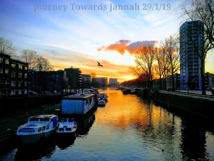 Journey Towards Jannah