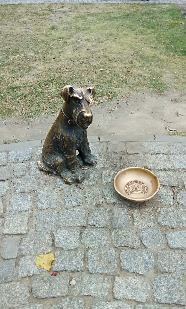 #dog#prsemysl