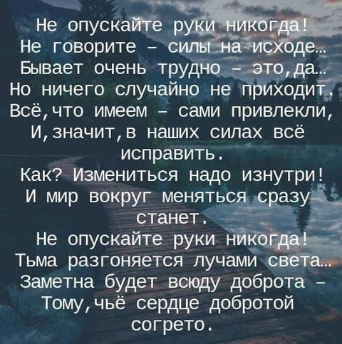жизнь