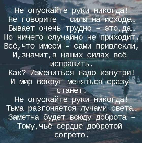 жизнь