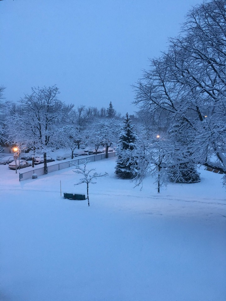 winter