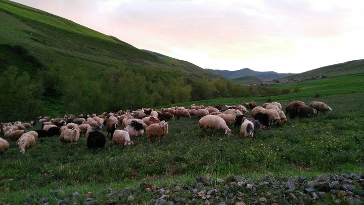 iran-tabriz-kaleybar-village:janibeglou