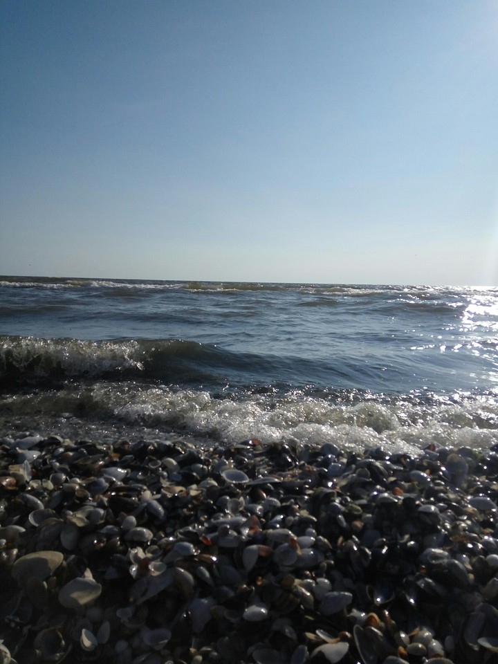 sea