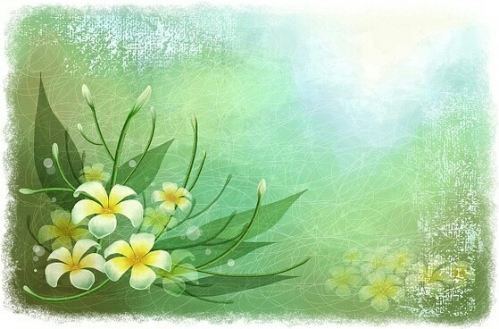 beautiful image