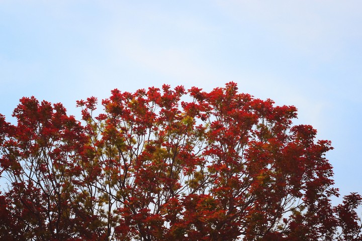 sky
