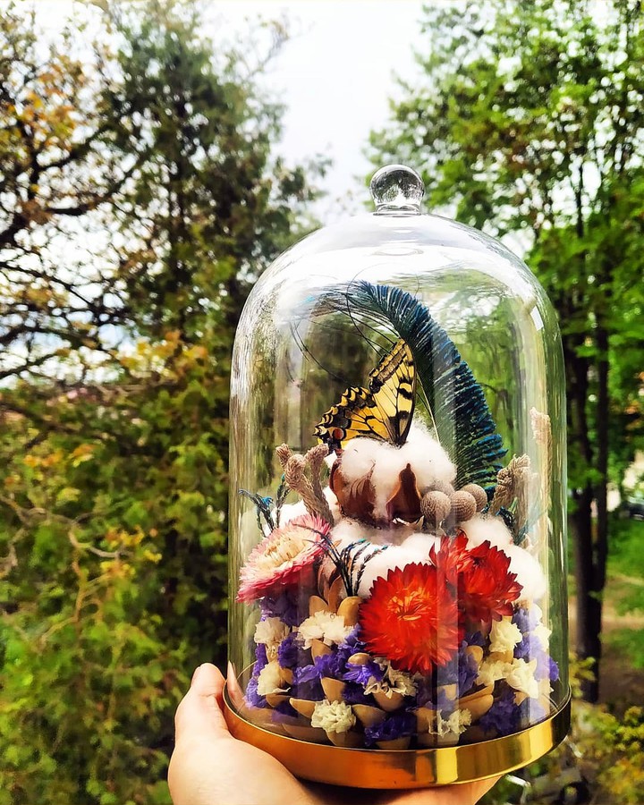 Terrarium