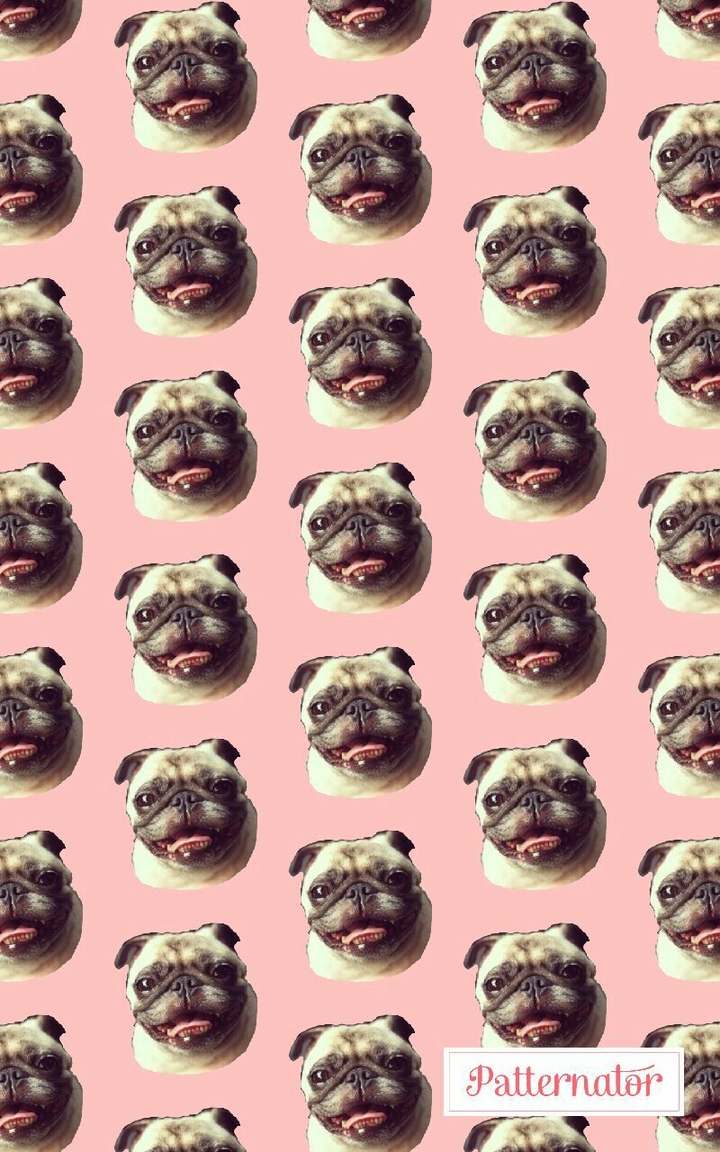 doggy