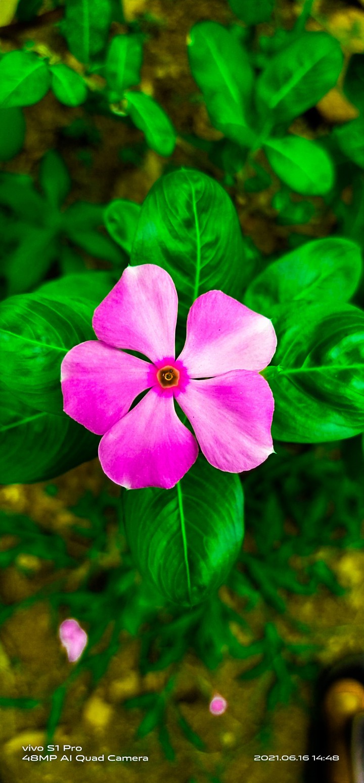 my click
