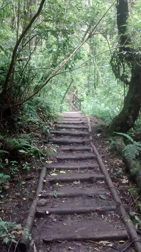camino