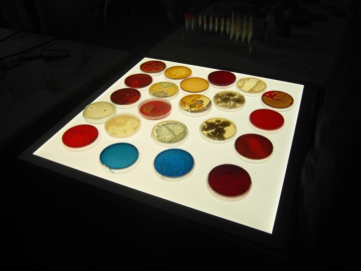 Science fair