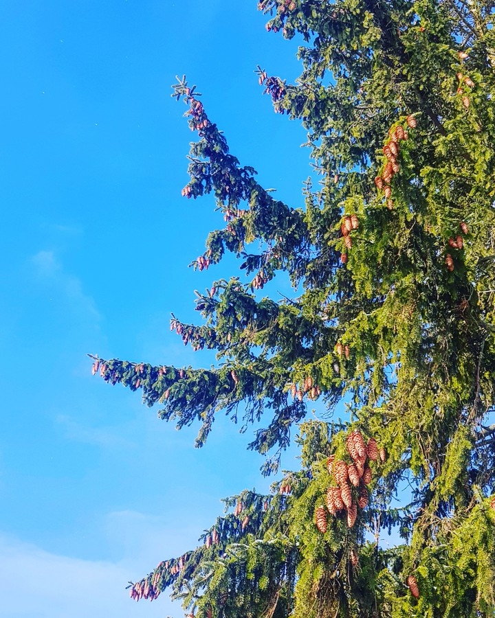 февраль