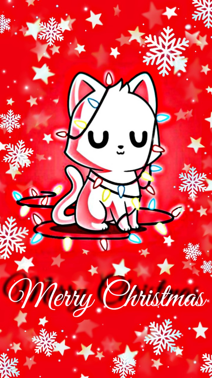 Merry Christmas (๑◔‿◔๑)