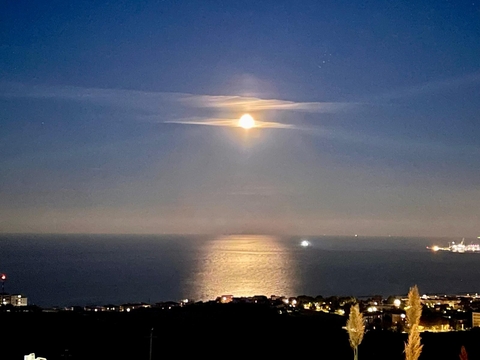 hình nền sea, moon