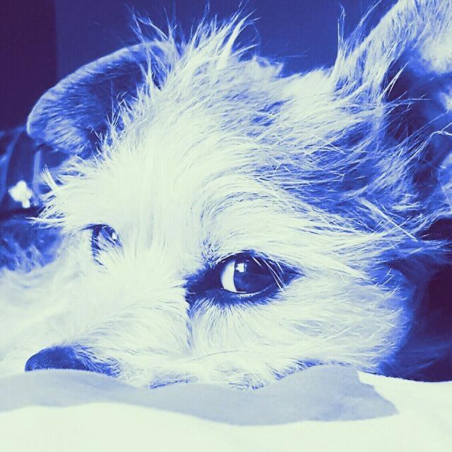 ❤