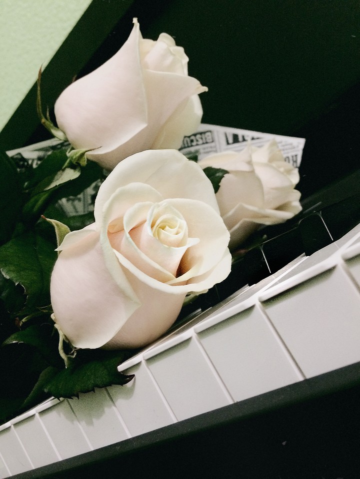 rose