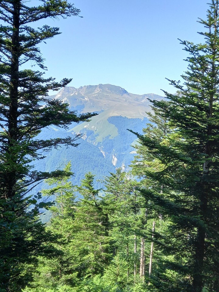 Nature